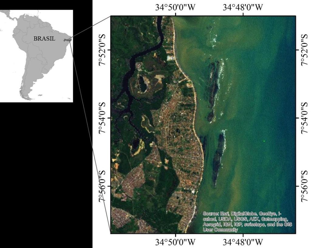 81 Pau Amarelo é uma praia, em forma de arco, do município de Paulista, situada à 18 km ao norte de Recife.