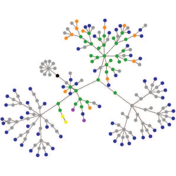 Uma característica dos grafos web que se torna um problema para aplicações que o usam é o seu potencial tamanho.