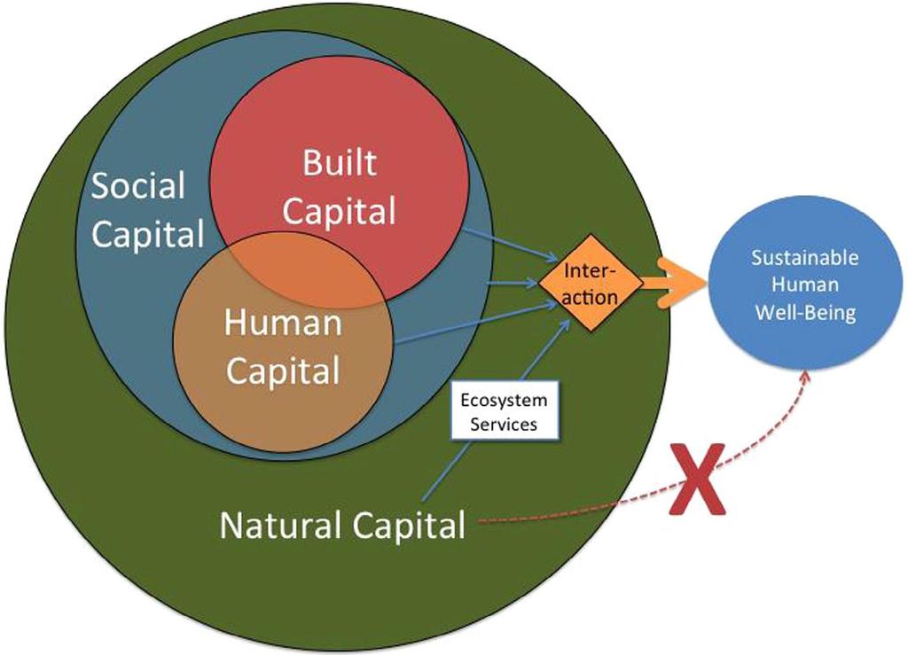 Capital Natural e