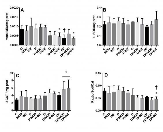 Figura 2: Avaliação de variáveis de estresse oxidativo no coração de camundongos B6129SF2/J machos após 12 semanas de dieta hiperlipídica, exposição ao MP2,5 e treinamento físico de diferentes