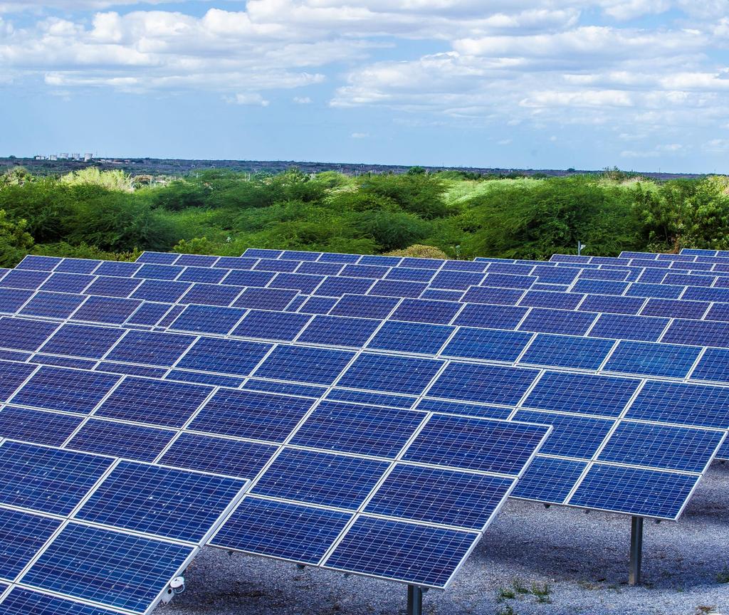 PRINCIPAIS PROJETOS EM RENOVÁVEIS Participação em leilões de energia solar Entrada gradual no mercado de geração solar distribuída Projetos em