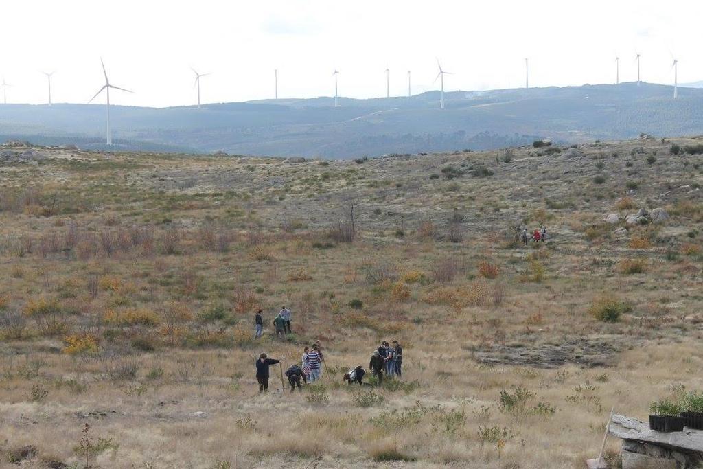 REFLORESTAR A SERRA DE SANTA HELENA REFLORESTAÇÃO: UMA PRIORIDADE Numa época em que a promoção de boas práticas, no que à sustentabilidade ambiental diz respeito, assume importância crucial para a