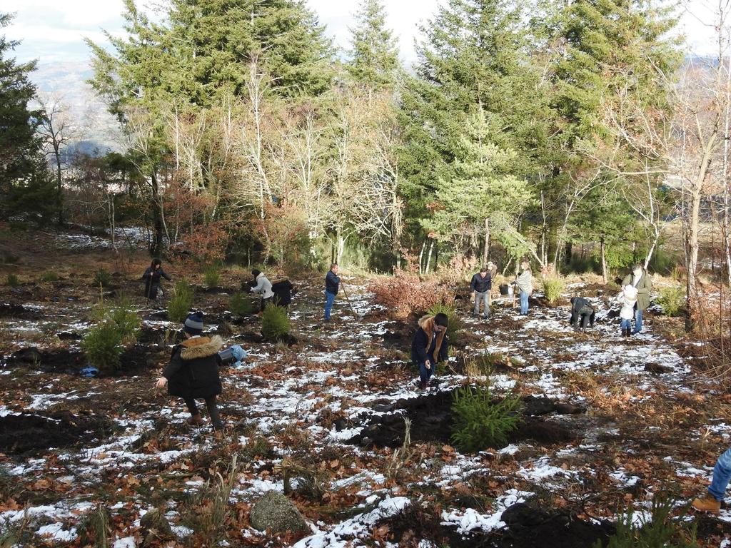 REFLORESTAR A SERRA DE SANTA HELENA UM COMPROMISSO DE TODOS Em janeiro de 2018, muitas foram as famílias que integraram a ação de reflorestação que uma vez mais decorreu na Serra de Sta. Helena.