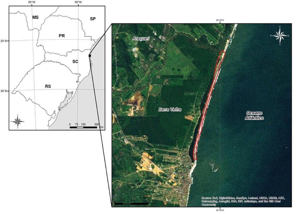 Figura 1. Localização da área de estudo.