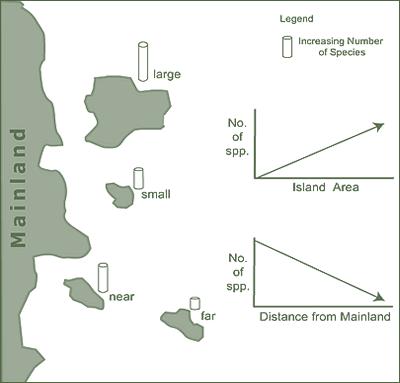 3. Principais teorias e mecanismos sobre como perda de habitat afeta a biodiversidade Teorias e abordagens Teoria de Biogeografia de Ilhas (TBI) explica o número de espécies