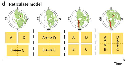 Abordagens Filogenéticas 3: Modelos Reticulados Nos modelos anteriores: Cada linhagem ocupa uma única área em um determinado tempo Se uma linhagem foi amplamente distribuída no passado a subdivisão