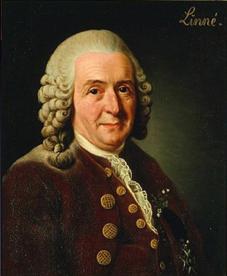 Linnaeus (1707-1778) Descrever as espécies envolve descrever suas distribuições geográficas