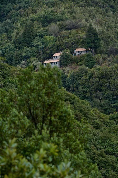 observação de aves.