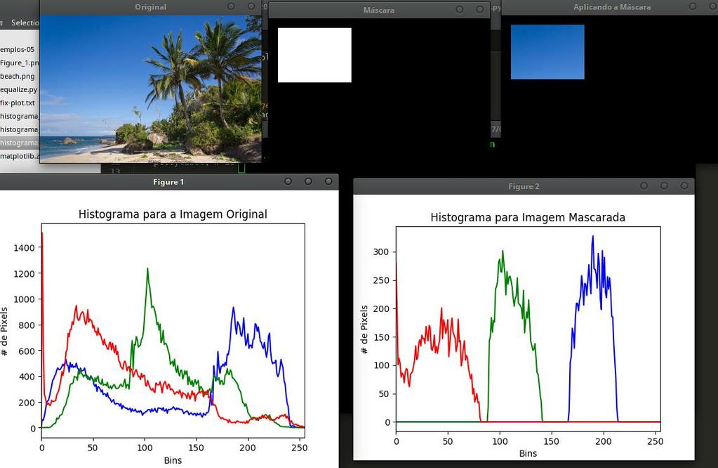 Histogramas e Máscaras Execurando o programa