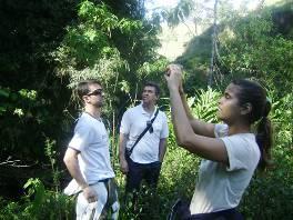 protegendo as florestas em suas propriedades, ajudando assim a preservar a Mata Atlântica e a fauna e flora do local.