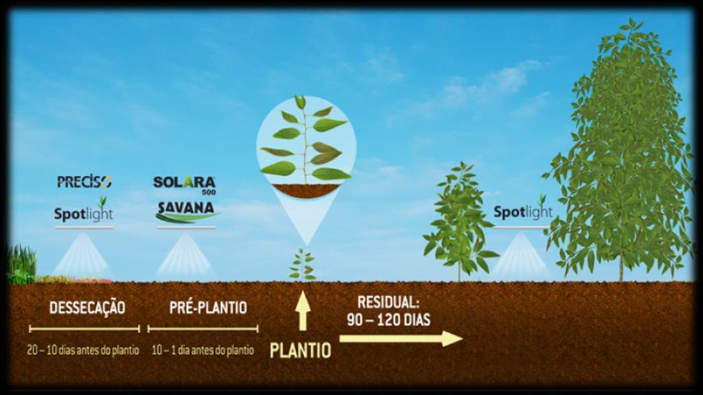 Portfólio Floresta FMC