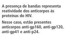 ELISA 4ª geração O ensaio de quarta geração detecta simultaneamente o antígeno p24 e anticorpos específicos anti-hiv.