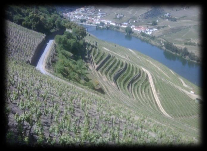 Prova de vinhos e azeite Convidamo-lo para a nossa próxima degustação. A nossa viagem de vinhos começa no noroeste de Portugal. Vamos receber a primavera que se aproxima com um vinho verde.