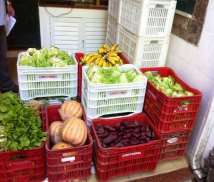 compra alimentos orgânicos dos