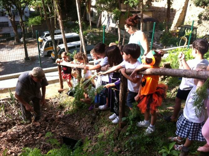 Prática: Análise sensorial das plantas Faixa etária: 5 a 10 anos Aula de Biologia Dinâmica: relacionar os 5 sentidos com aromas, texturas, sabores e cores.