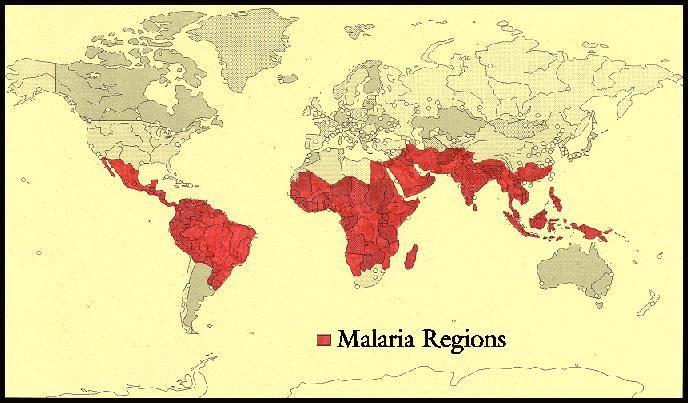 A malária é uma