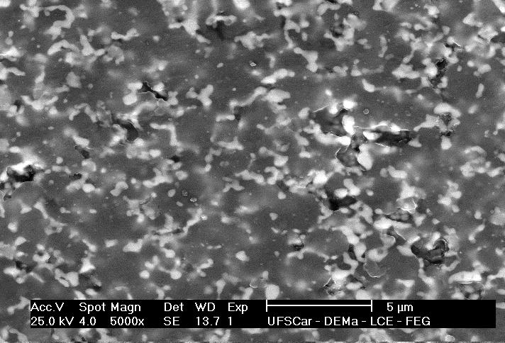 38 Microscopia eletrônica de varredura (MEV) da superfície polida da amostra sinterizada a 1700 C sob alto vácuo produzida com o pó obtido a partir da reação C por meio do