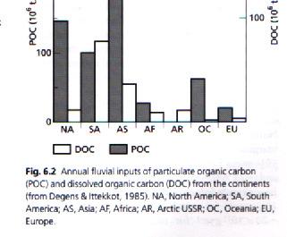 Contribuição anual de Carbono Orgânico