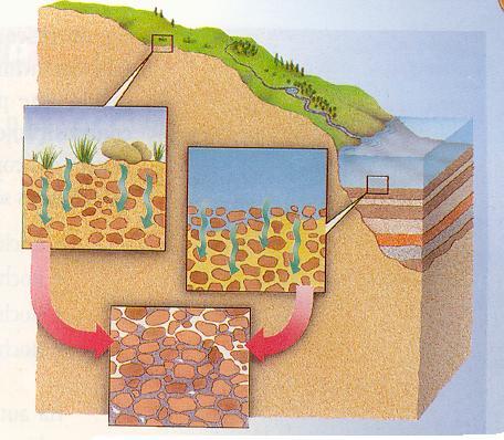 Em condições de ambiente sedimentar, após a meteorização mecânica e química de uma rochas os materiais resultantes, sedimentos ou detritos, podem permanecer in situ, formando a fracção mineral dos