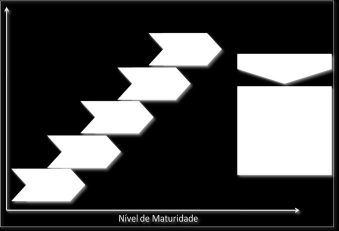 Competência Técnica: Sendo o conhecimento organizacional referente a práticas de gerenciamento de projetos. Metodologia: Forma como a informação é explorada.