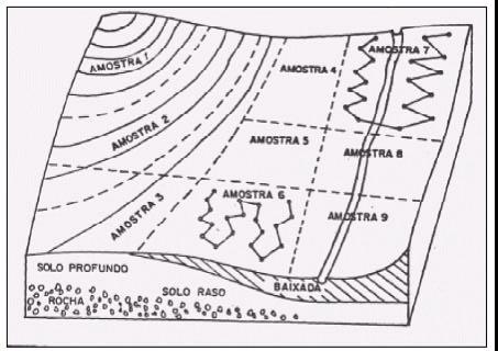 2 Esquemas de Amostragem Os esquemas de amostragem podem ser divididos em duas categorias: ao acaso e sistematizada.