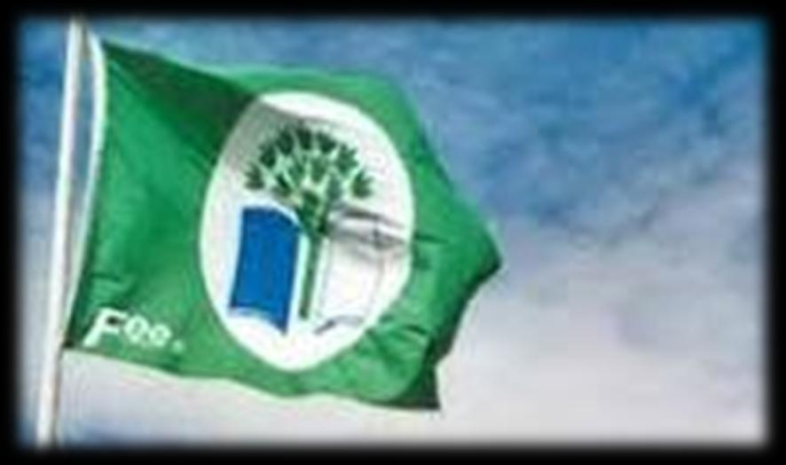 RESPONSABILIDADES DO PROGRAMA Uma escola que pretenda ser reconhecida com a Bandeira Verde deverá seguir a metodologia proposta e