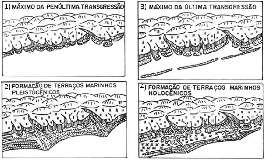 30 Figura 15: Esquema evolutivo para a porção do litoral brasileiro compreendida entre Macaé (RJ) e Maceió (AL). As quatro fases evolutivas descritas por Martin et.