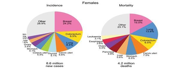 Fig 1: Distribuição de incidência e mortalidade por câncer em mulheres Os mapas a seguir demonstram a