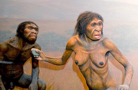 2,5-1,7 milhões de anos atrás Homo