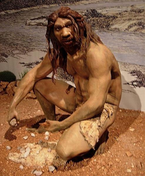 600-350 mil anos atrás Homo