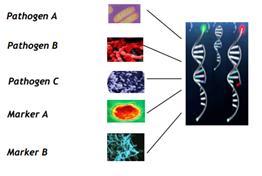 tratamento; Conceito Lab on a Chip: