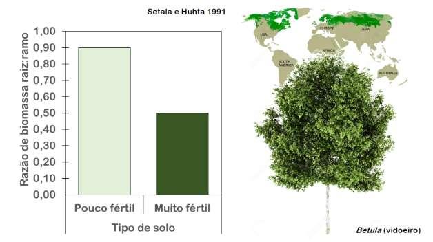 Capacidade de fuga da presa