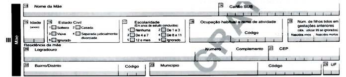 Em caso de parto ocorrido em domicílio, via pública, outros, ignorado, preencher somente os campos relativos ao endereço onde ocorreu o fato (campos 8 a 12).