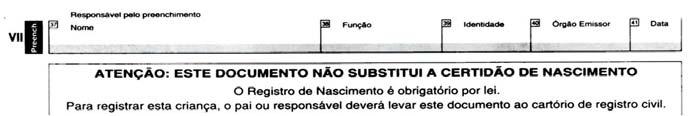 BLOCO VI - Identificação: Este campo consiste na aposição da impressão digital da mãe (polegar direito) e da impressão plantar do recém-nascido (pé direito) - Artigo 10 da Lei 8.