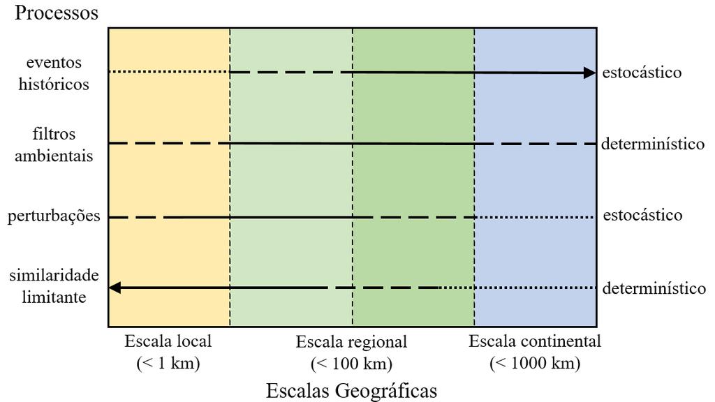 20 Figura 3- Esquema mostrando a intensidade da influência dos processos nas escalas local, regional e continental. As linhas pontilhadas indicam fraca influência na composição da comunidade.
