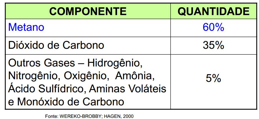 BIOGÁS - Conjunto de gases formado na degradação da matéria orgânica em meio anaeróbio -