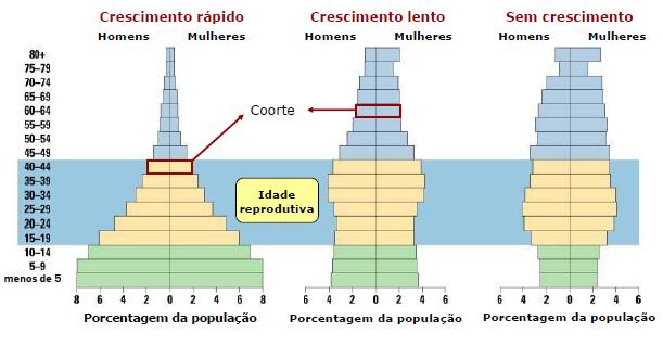 Pirâmides etárias: o que