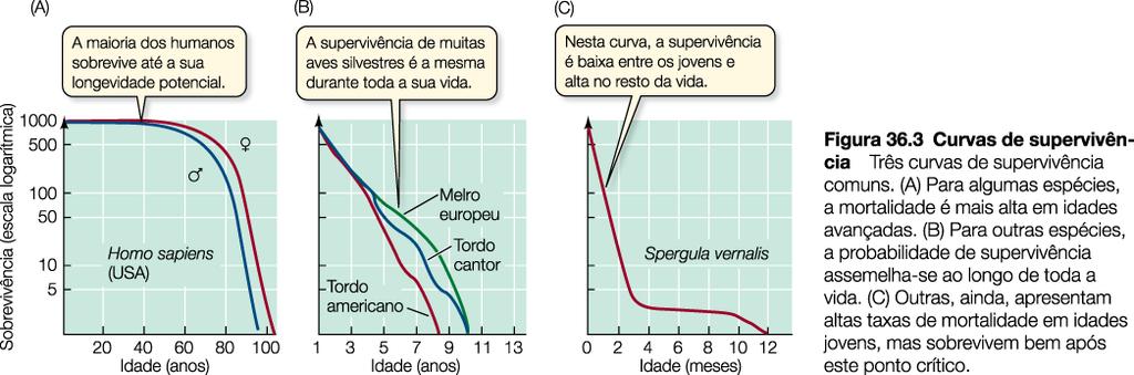 Grande produção de descendentes, com poucos recursos energéticos e nenhum cuidado parental Curvas de supervivência: