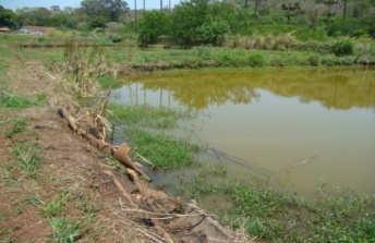 Resultados Ambiente 1 Tanque, margem