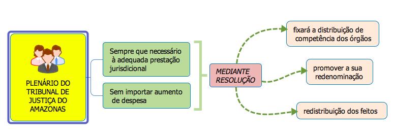 competência dos órgãos previstos neste artigo, podendo promover a sua redenominação e a redistribuição dos feitos em curso nas Comarcas, Juízos e Juizados. Art.