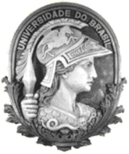 Universidade Federal do Rio de Janeiro Escola Politécnica TURMA MBCA-3 Legislação em Computação Software Livre e Software Proprietário