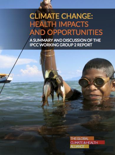 Mudanças climáticas e impactos na saúde Um resumo do relatório do Grupo de Trabalho 2 do IPCC Global Climate and Health Alliance Working Group 2 of the Intergovernmental
