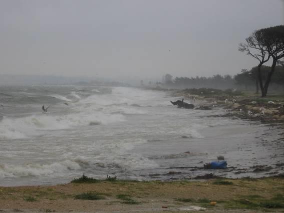 (2004) cenários de subida do nível médio do mar e alteração do regime médio e de extremos de agitação Praia do Alfeite Pós evento de 29 Janeiro 2006 29