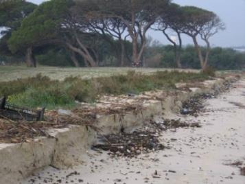 do vento: 40 km/h (NE) A praia do Alfeite é vulnerável à agitação em condições de tempestade Para o nível do mar atual um episódio de tempestade com PR=50