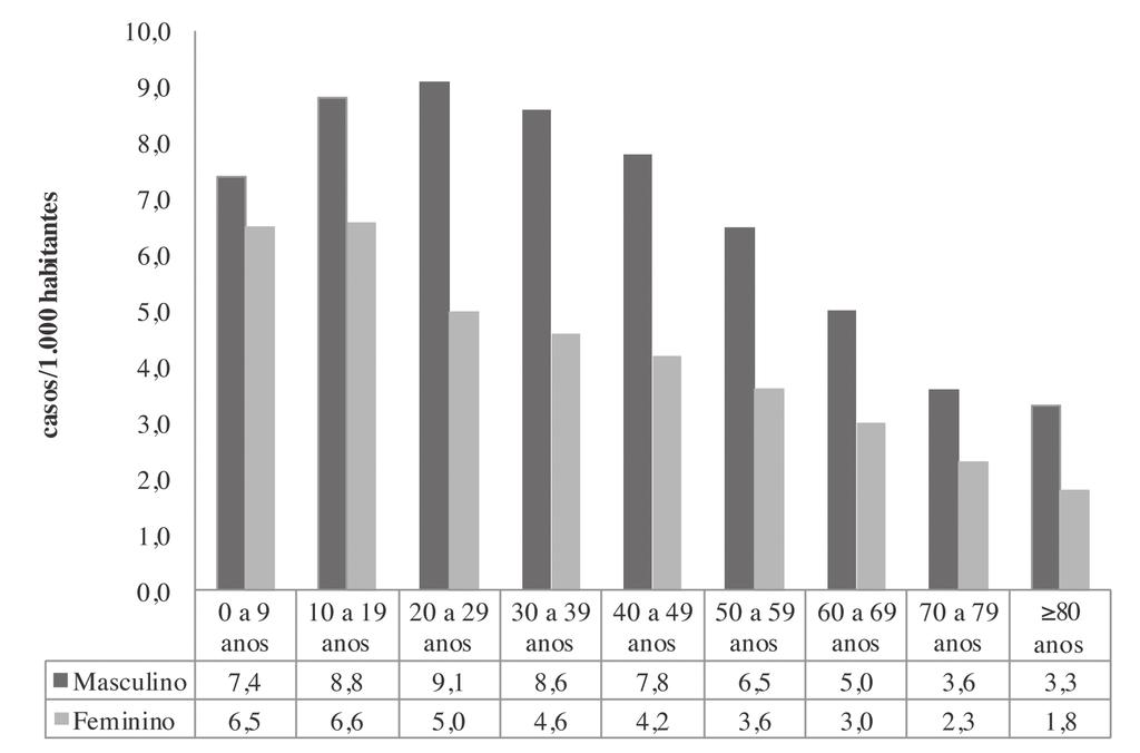 0 a 9 10 a 19 20 a 29 30 a 39 40 a 49 50 a 59 60 a 69 70 a 79 80 Figura 13 IPA de malária de acordo com sexo e faixa