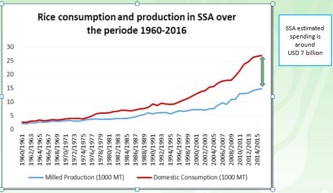 Consumo e produção de arroz na África subsaariana 1960-2016 O gasto estimado da África subsaariana é de