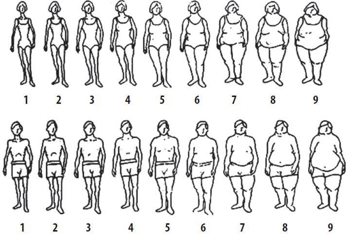 Figura 1. Escala de Stunkard utilizada para avaliar a imagem corporal em adolescentes.