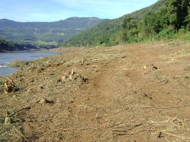 Foto20: Vista geral da área do desmatamento. Foto21: Vegetação já suprimida na margem esquerda do futuro reservatório.