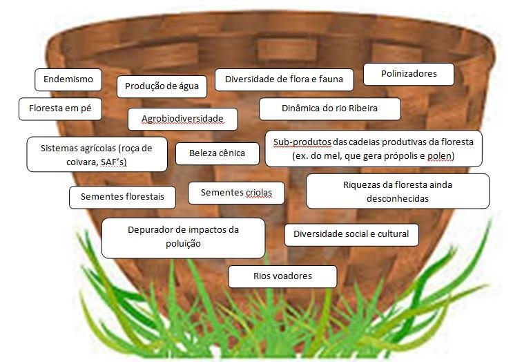 Após essa etapa de discussão, foi suscitada a reflexão sobre os potenciais do Vale do Ribeira, nas