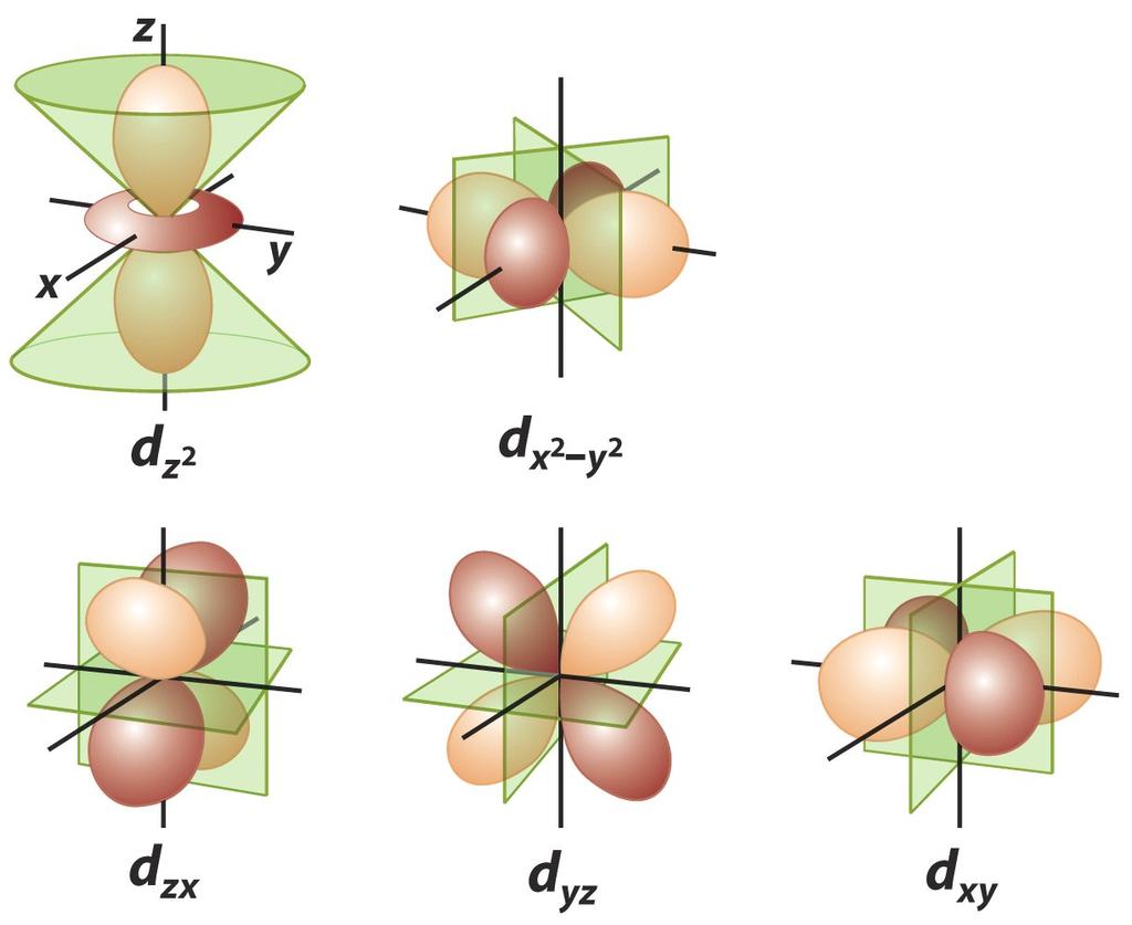 O Átomo de Hidrogênio Os orbitais Os orbitais d: l = 2